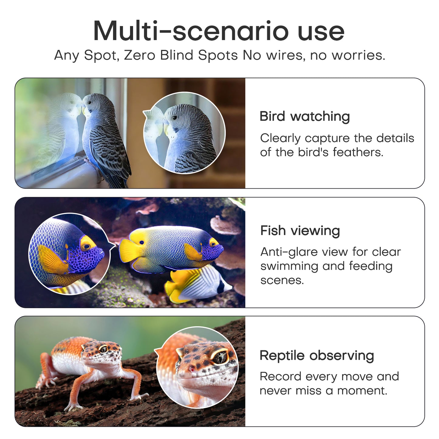 3MP 2K Window Camera, 2.4GHz & 5GHz WiFi Indoor Cameras for Fish Bird and lizard Reptiles Security with Color Night Vision, Motion Detection with Auto-Focus,24/7 Recording,Easy & Quick Install Works with Alexa & Google Home