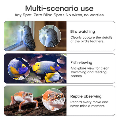 3MP 2K Window Camera, 2.4GHz & 5GHz WiFi Indoor Cameras for Fish Bird and lizard Reptiles Security with Color Night Vision, Motion Detection with Auto-Focus,24/7 Recording,Easy & Quick Install Works with Alexa & Google Home